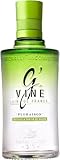 G'Vine Floraison Gin | 700 ml | 40% vol. | 10 Botanicals | aromatisiert kräftiger Geschmack | süß & blumiger Geruch | scharfe Wärme | Geschmack der Weinblüte
