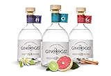 GINOLOGIST GIN CITRUS (1 x 0,7 L) mehrfach prämierter Newcomer Gin aus Süd Afrika