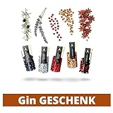 Gin Aromen natürliche Gin Tonic Gewürze | 5 naturbelassene Gin Aromen | Handliche Gin Kräuter Geschenk-Box, Praktische Gin Gewürze Box als Gintonic Geschenk für Männer, Geschenk Mann Gin Geschenkset