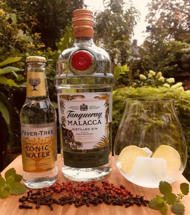Tanqueray Malacca ginvasion Die Edition 2018 im Review