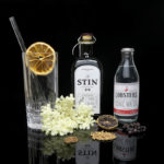 STIN Gin