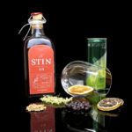 STIN Gin Sloeberry im Review auf ginvasion.de