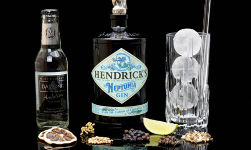 Der Hendrick's Neptunia Gin im Review auf ginvasion.de