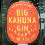Der Big Kahuna Gin im Review auf ginvasion.de